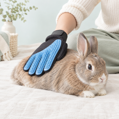 Pet grooming glove in use with a rabbit